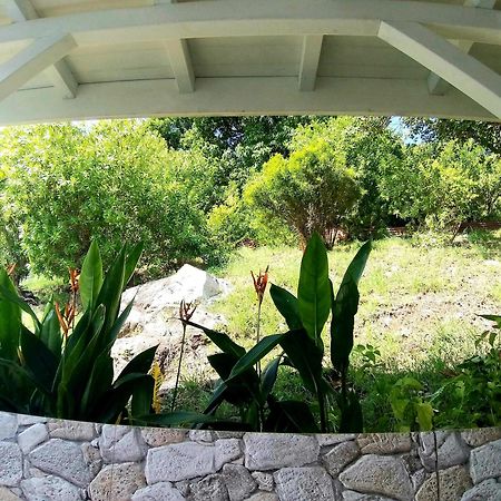 Villa Cana Et Son Spa A Terre De Haut Kültér fotó