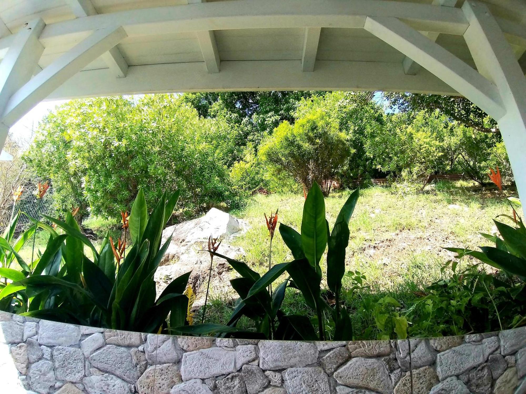 Villa Cana Et Son Spa A Terre De Haut Kültér fotó